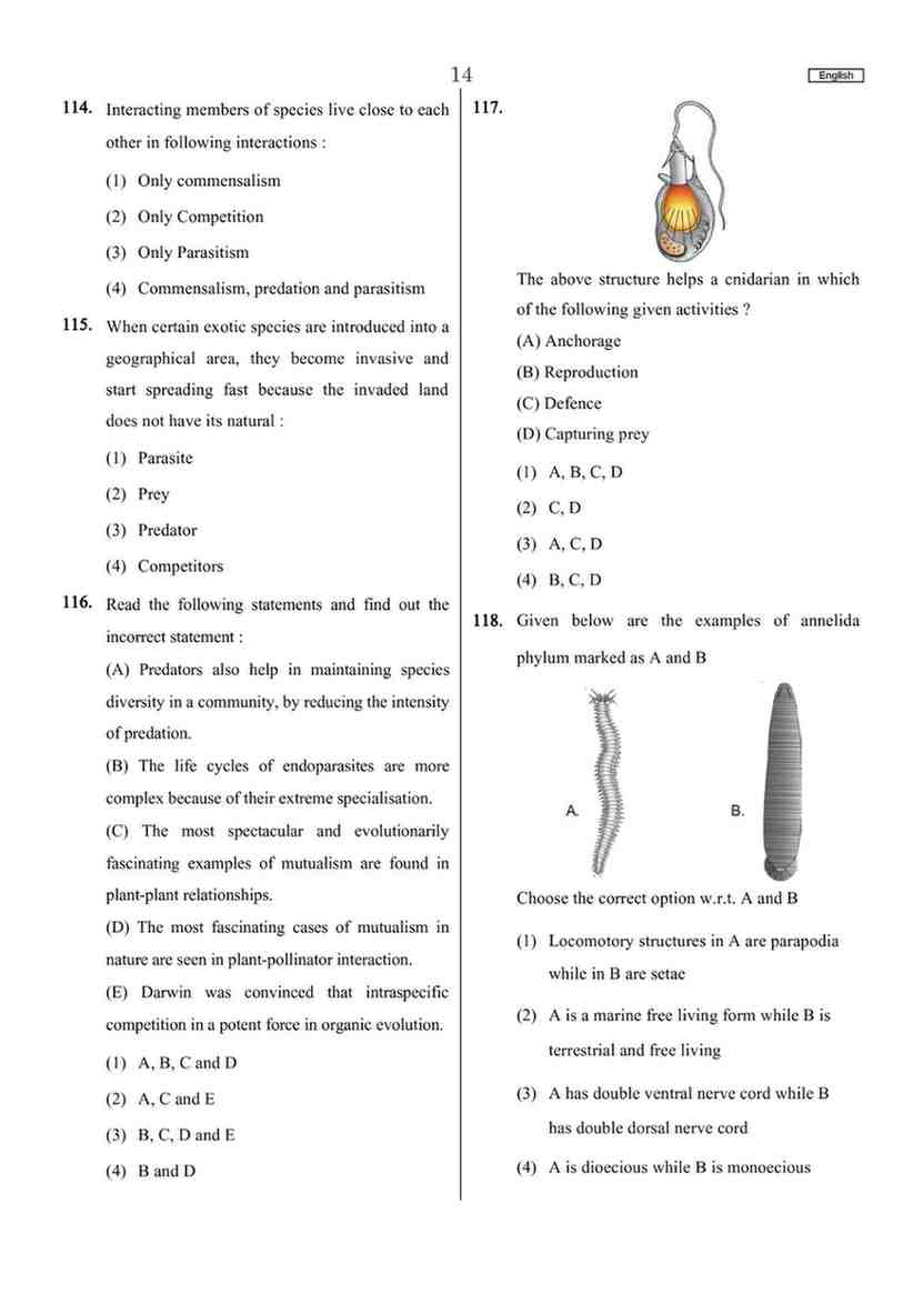 NEET-UG Top Level Questions & Solutions - Image 7